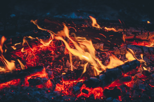 Beautiful fire close-up, hike in the woods. - Photo, Image