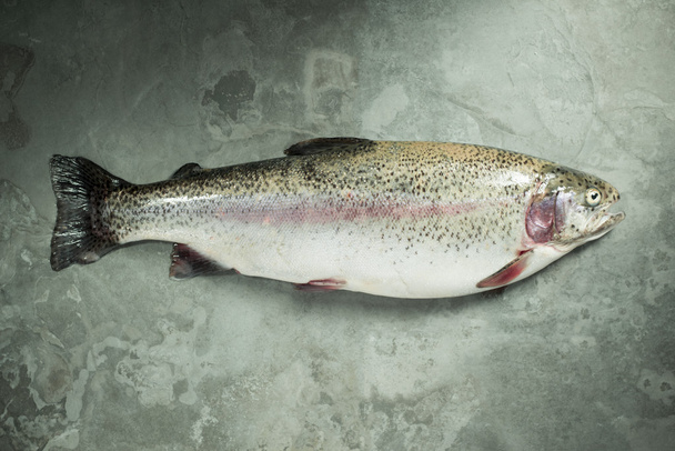 Kokonainen kala pilkullisella liuskepohjalla
 - Valokuva, kuva