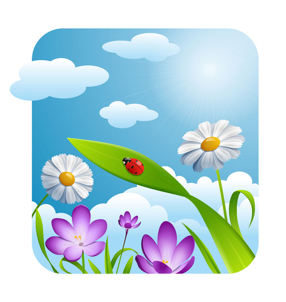 Spring flowers on sunny day - Vector, Image