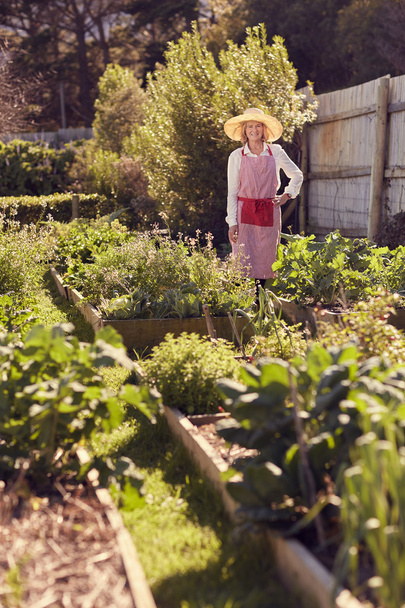 woman standing in urban food garden - Photo, image