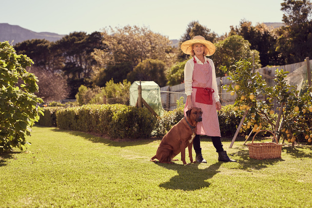 woman in backyard with faithful dog - Photo, Image