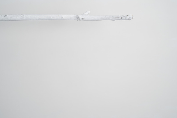 An Elevated Painted White Twig - Valokuva, kuva