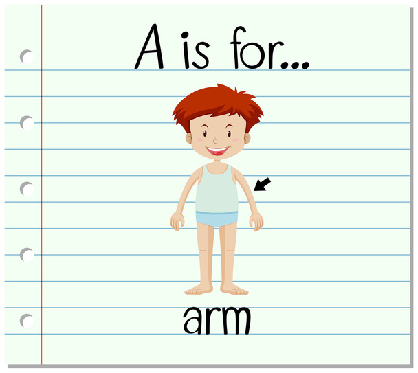 Flashcard letter A is for arm - Vector, Image