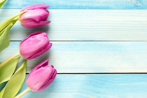 tulipanes con lugar para texto
 - Foto, imagen