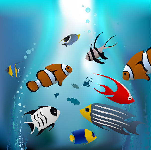 Cartoon tropical fishes - Vector, Image