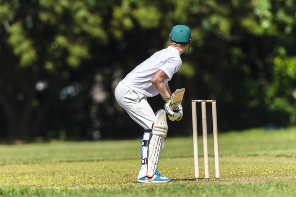 Cricket Batsman Ready - Photo, Image
