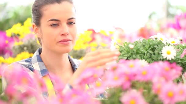 primavera, mujer sonriente en el jardín de margaritas flores
 - Metraje, vídeo