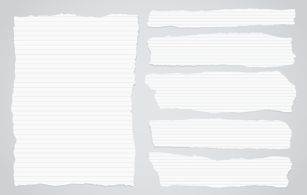 Pieces of torn white lined notebook paper on gray background - Vector, Image