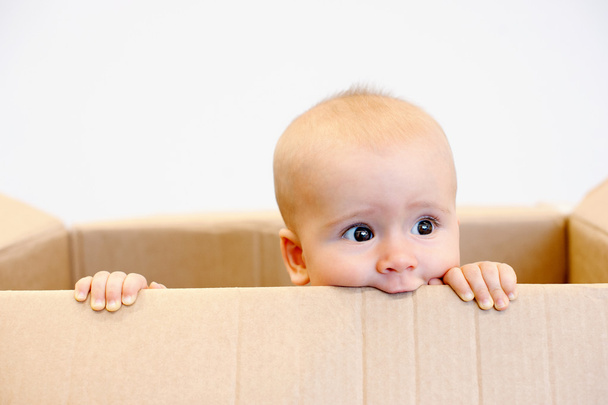 Baby in a carton box - Фото, изображение