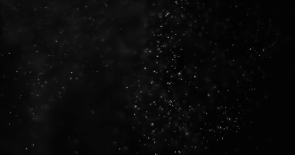 abstract dust particles on dark background loop seamless ready - Footage, Video