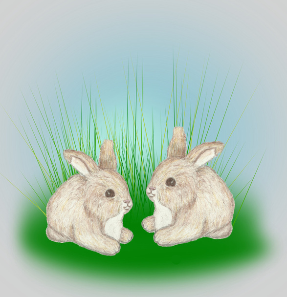Two little Bunnies - Photo, Image