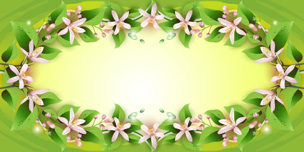 mooie achtergrond met delicate bloemen - Vector, afbeelding