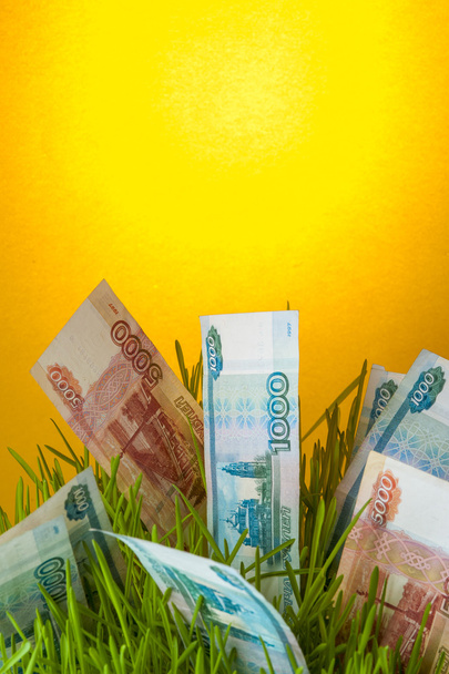 Investment growth: ruble bills in green grass - Φωτογραφία, εικόνα