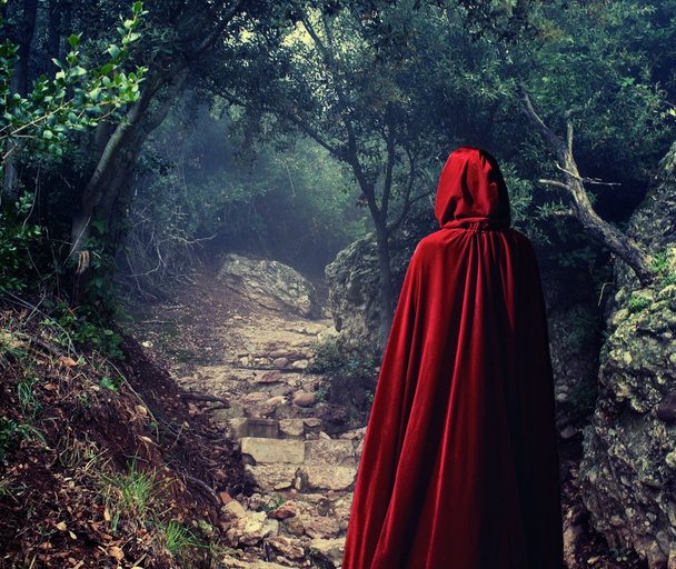Punaista viittaa käyttävä henkilö metsässä
 - Valokuva, kuva