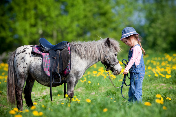 kind en klein paard in het veld - Foto, afbeelding