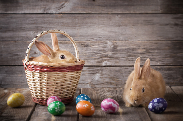 rabbits with Easter eggs on wooden background - Foto, imagen