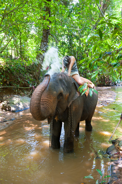 Слон брызгает воду женщине
 - Фото, изображение