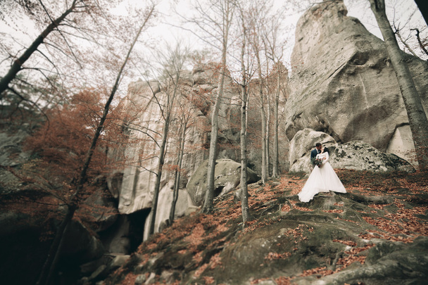 Gorgeous bride, groom kissing and hugging near the cliffs with stunning views - Fotoğraf, Görsel