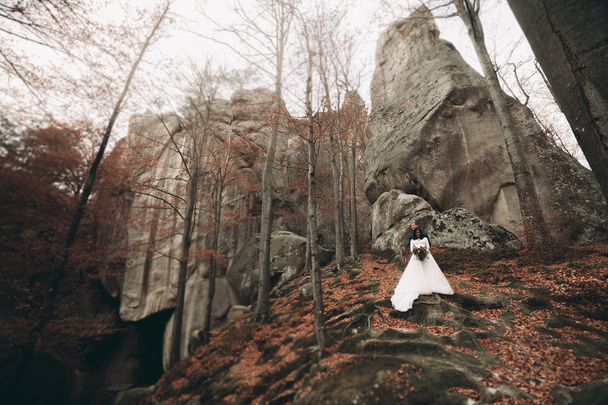 Gorgeous bride, groom kissing and hugging near the cliffs with stunning views - Φωτογραφία, εικόνα