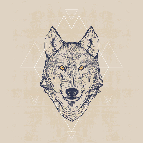 Wolf hoofd, vintage hand getekende illustratie - Vector, afbeelding