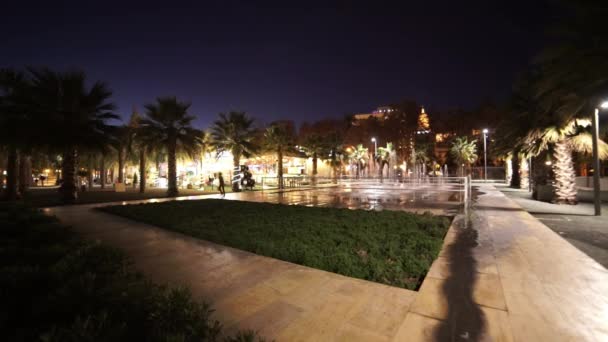 Beautiful Malaga by night - Materiaali, video