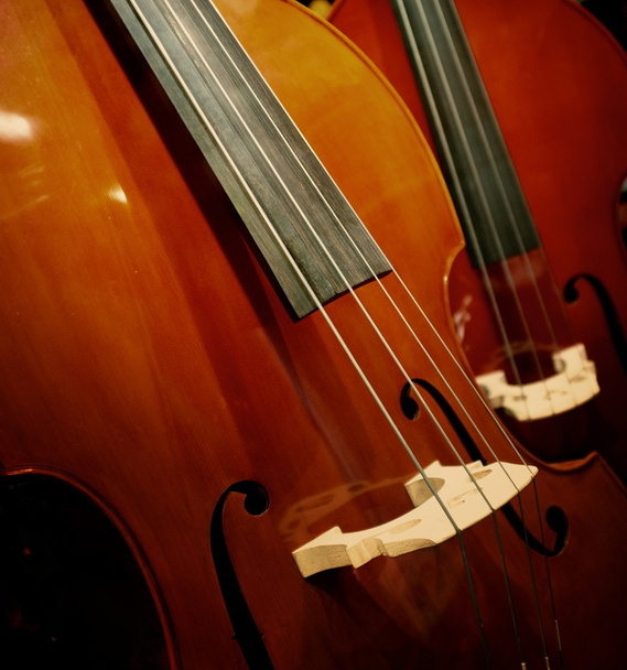 Close-up de um violino
 - Foto, Imagem