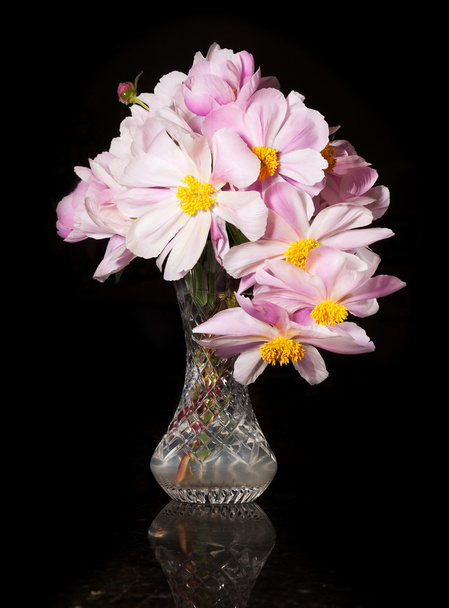 Disposizione dei fiori di peonie
 - Foto, immagini