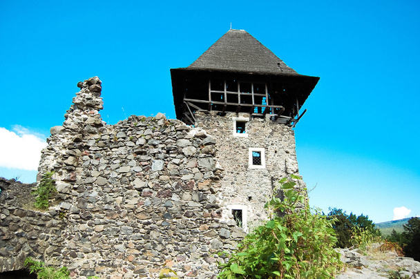 Ruinas del antiguo castillo
 - Foto, Imagen