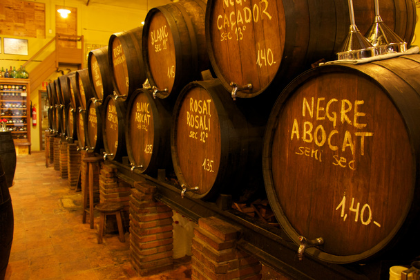 Wine barrels - Photo, Image