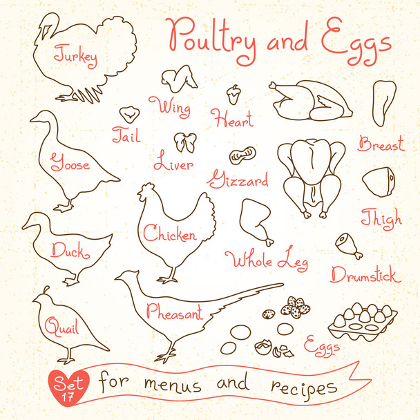 Ορίστε σχέδια πουλερικών και αυγών για το σχεδιασμό μενού, συνταγές. Κοτόπουλο κρέας πουλερικών, Τουρκία, χήνα, πάπια, ορτύκι, φασιανός. - Διάνυσμα, εικόνα
