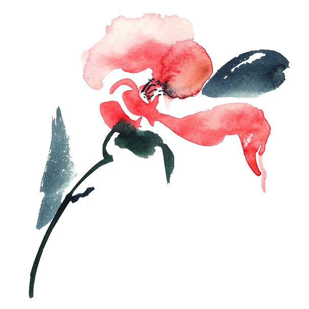 Ilustração flor vermelha
 - Foto, Imagem