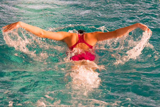 Atlet na bazén plavání plavání technika motýl. - Fotografie, Obrázek