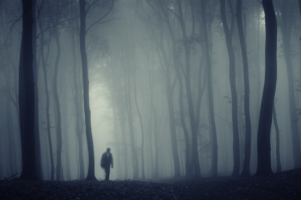 Silueta del hombre en la niebla en un bosque
 - Foto, Imagen