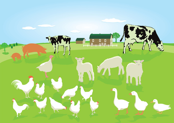 A mezőgazdasági állatok - Vektor, kép