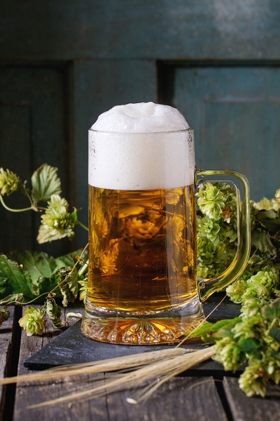 Mug of lager beer - Fotografie, Obrázek
