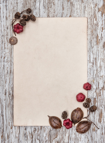 Wooden background with old paper and dry plants - Foto, immagini