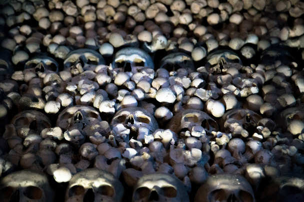 Human Skulls and Bones - Photo, Image