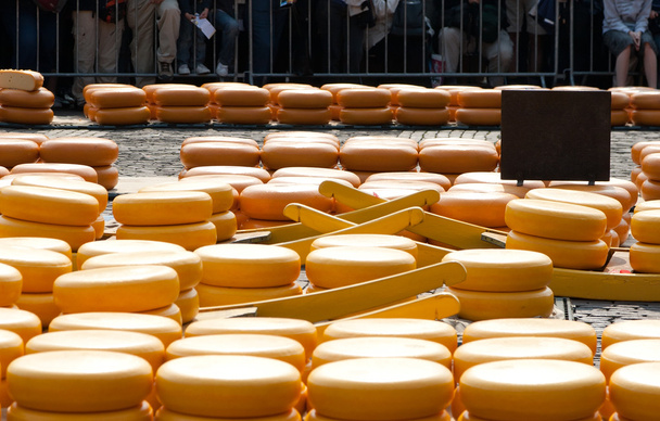Cheese on market - Photo, Image