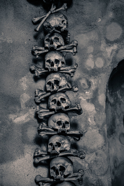 koponyák és csontok - Fotó, kép