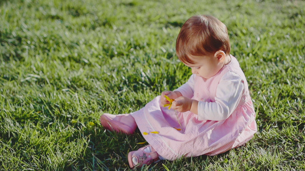 Urocza dziewczynka siedzi na trawie - Materiał filmowy, wideo
