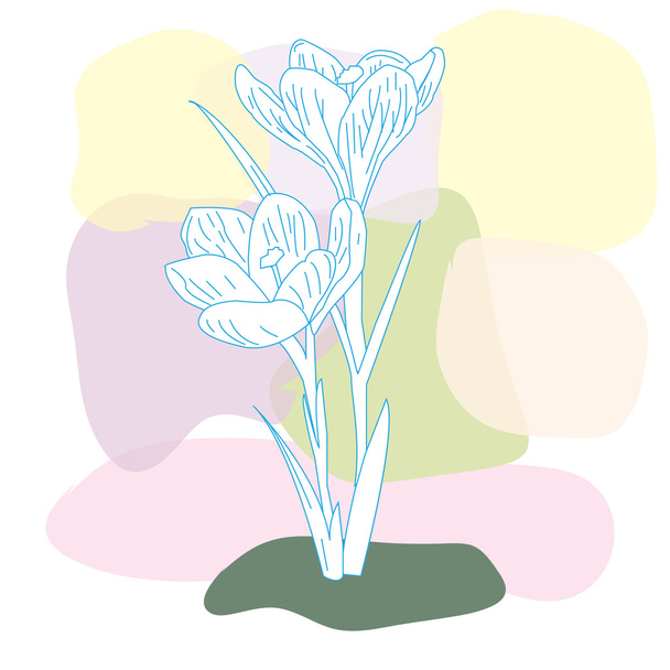 spring primroses, delicate Crocus - Vektor, obrázek