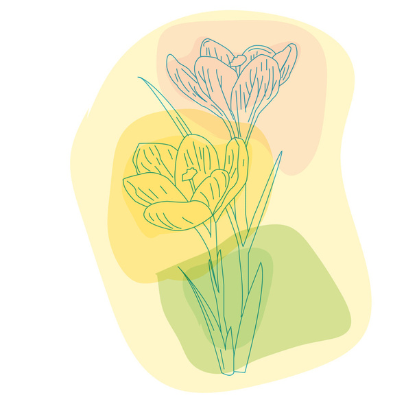 spring primroses, delicate Crocus - Vektor, kép