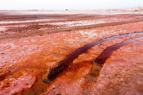 Minerales rojos en estanques de evaporación de sal en Cabo Verde
 - Foto, imagen