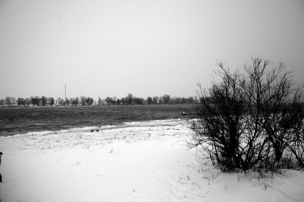 Schwarzes und weißes Donaudelta - Foto, Bild
