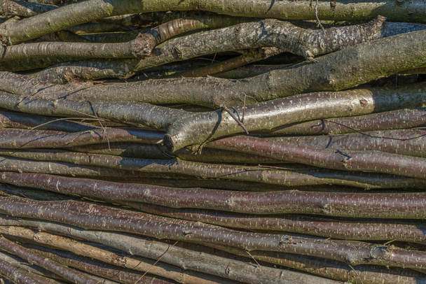Yığılmış tahta bacak closeup - Fotoğraf, Görsel