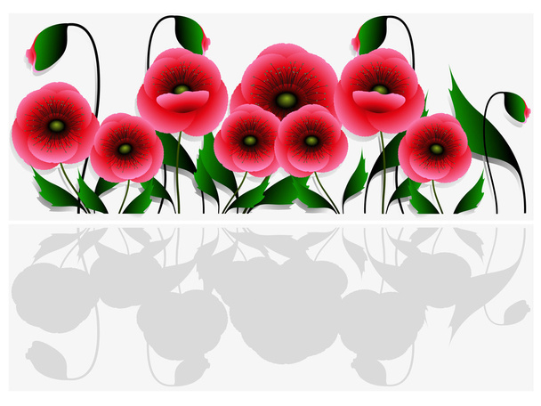 Banner with poppies. - Vector, Image