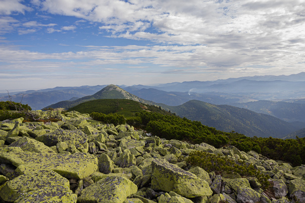 Vihreä gorgany ja majesteettinen vuorenhuiput. Karpaatit
 - Valokuva, kuva