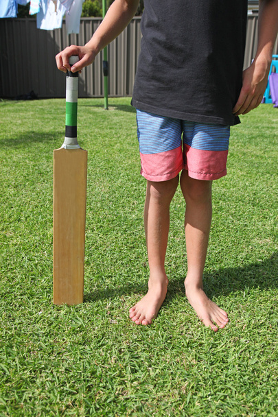 裏庭クリケット オーストラリア - 写真・画像