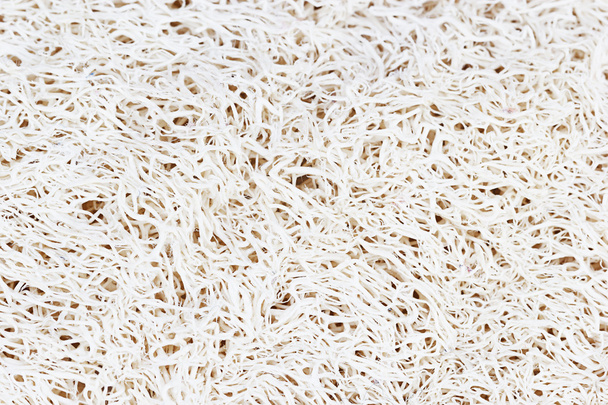 naturaleza loofah textura o fondo
 - Foto, Imagen