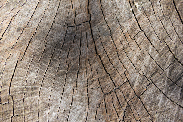 Vintage wooden surface - Photo, image